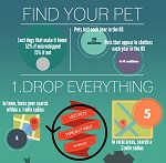 thumbnail of Find Your Pet infographic